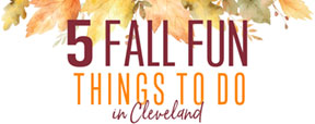 Fall Fun