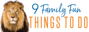Family Fun