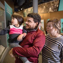Family Viewing Exhibits
