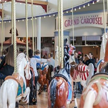 Western Reserve Historical Society Carousel